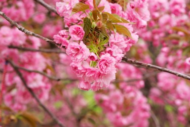 南通通州区2线下个人借款平台一站式服务，轻松解决资金难题