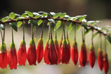 南通通州区2零用贷短借：轻松解决临时资金需求