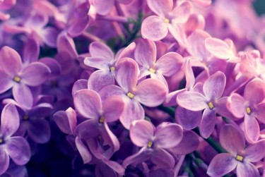 南通通州区2企业急用钱贷款攻略：快速融资解燃眉之急